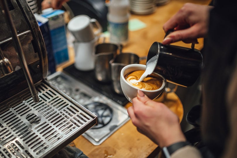 Barista pouring latte art at a new coffee shop counter